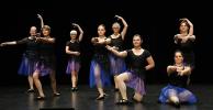Gala de danse classique adultes 2026 